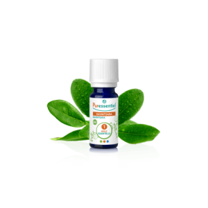 Huile Essentielle de Ravintsara - 30ml