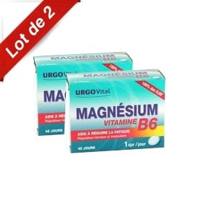 GOvital Magnésium Vitamine B6 - 2x45 comprimés