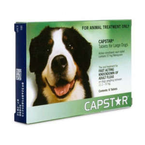 Capstar 57 mg Traitement des Infestations par Les Puces Chiens + 11kg - 6 comprimés