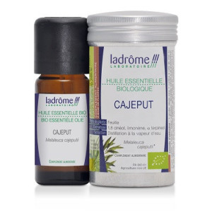 Huile Essentielle de Cajeput Bio - 10ml