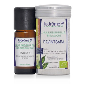 Huile Essentielle de Ravintsara Bio - 10ml