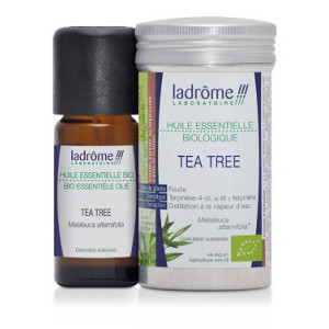 Huile Essentielle de Tea Tree Bio - 10ml