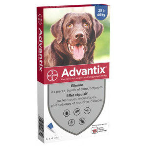 Bayer Advantix Grand Chien entre 25 kg 40 kg - 6 pipettes 