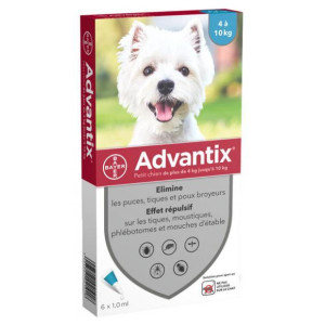 Bayer Advantix Petit Chien 4 à 10 kg - 6 pipettes