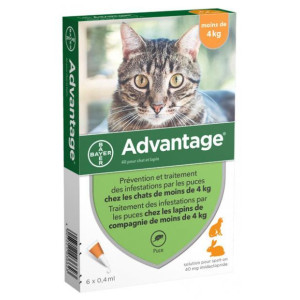 Bayer Advantage 40 Solution Antipuce Pour Chat et Lapin de Moins de 4kg - 6 Pipettes 