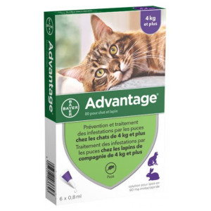 Bayer Advantage 80 Solution Antipuce Pour Chat et Lapin de 4kg et Plus  - 6 Pipettes