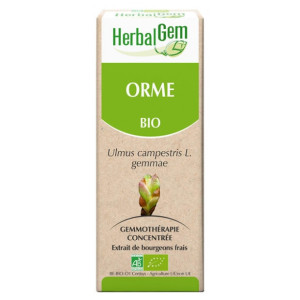 HerbalGem Bio Orme - 30 ml