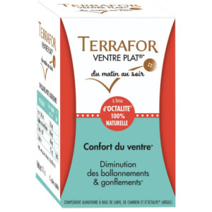 Laboratoire Source Origine Terrafor Ventre Plat - 60 Gélules Végétales