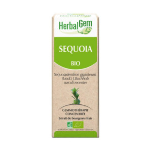 HerbalGem sequoia bio - 30ml