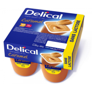 Délical Crème Dessert HP/HC Sans Lactose Caramel - 4 x 200 g