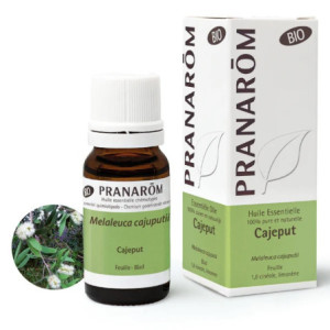 Pranarôm Huile essentielle Cajeput Bio - 10ml