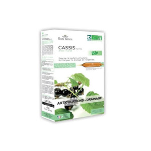 Flora Natura Articulations Drainage BIO - 20 ampoules