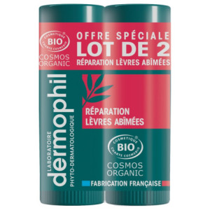 Dermophil Indien Réparation Lèvres Abîmées Bio Stick - Lot de 2 x 4 g