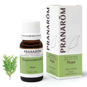 Pranarom Huile essentielle Thuya - 10ml