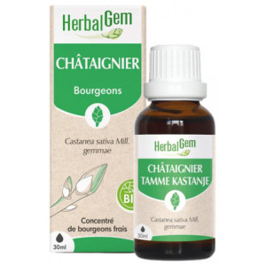 HerbalGem Châtaignier Bio - 30 ml