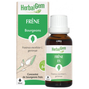 HerbalGem Frêne Bio - 30 ml
