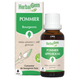 HerbalGem Pommier Bio - 30 ml