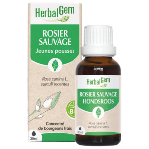 HerbalGem Rosier Sauvage Bio - 30 ml