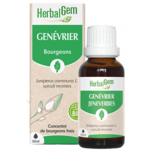 HerbalGem Genévrier Bio - 30 ml