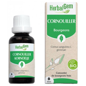 HerbalGem Cornouiller Bio - 30 ml