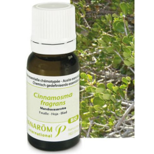 Huile essentielle de Mandravasarotra - 10 ml