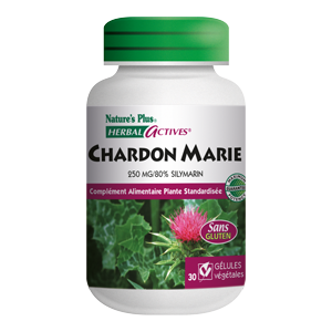 Chardon Marie - 30 gélules